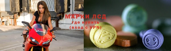 spice Инсар