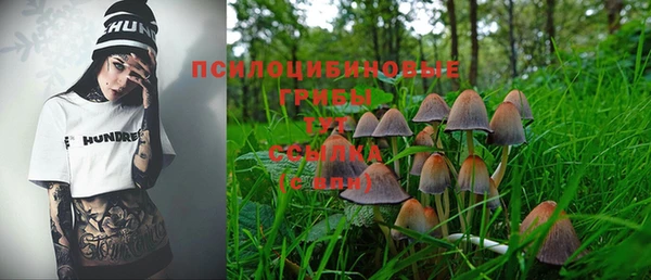 стафф Абинск