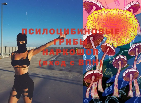 стафф Абинск